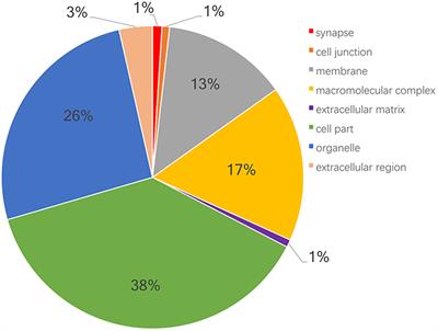 Quantitative Analysis of Proteome in Non-functional Pituitary Adenomas: Clinical Relevance and Potential Benefits for the Patients